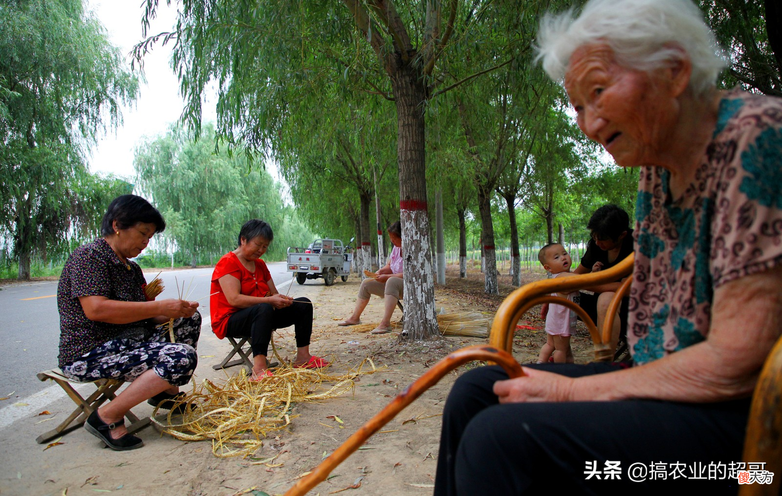 现在才知道有什么用 请问现在有什么用