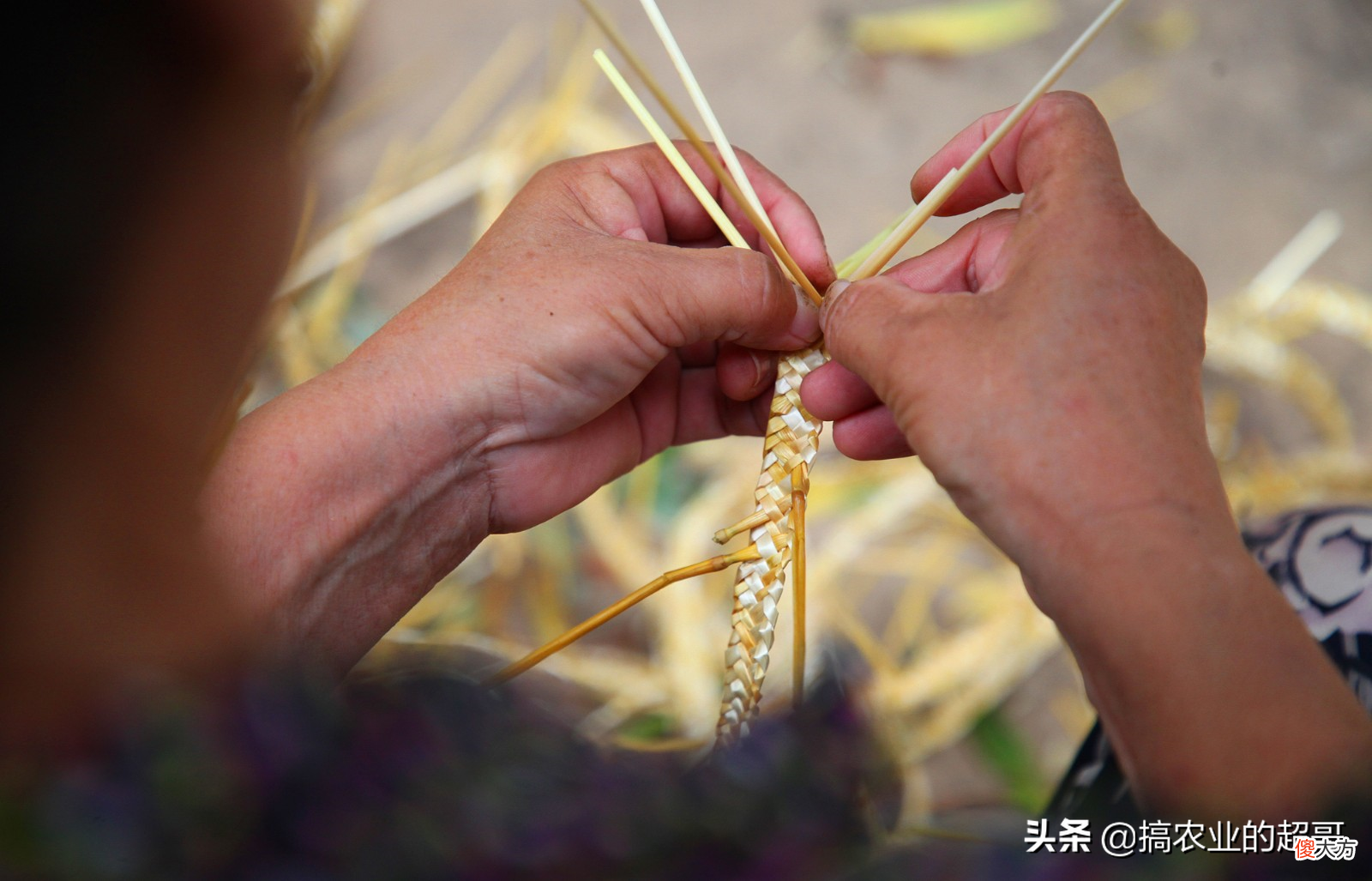 现在才知道有什么用 请问现在有什么用