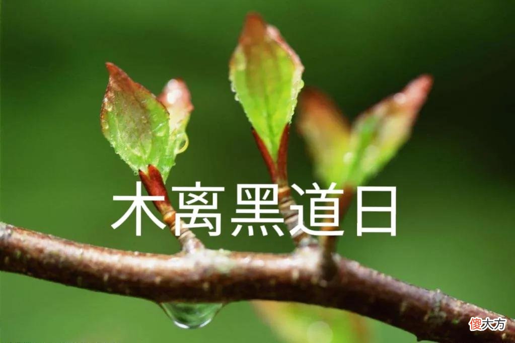 听说二月十七是木离黑道日,怎么回事儿?黑道日是咋算来的?