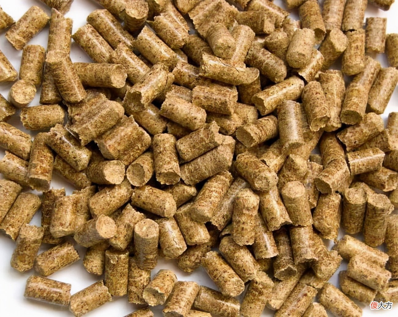 红虫颗粒这么用 红虫颗粒的用法