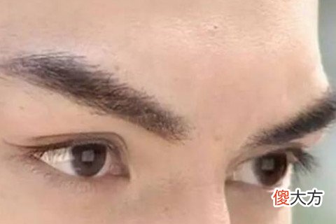 眉毛向上翘的人命运如何