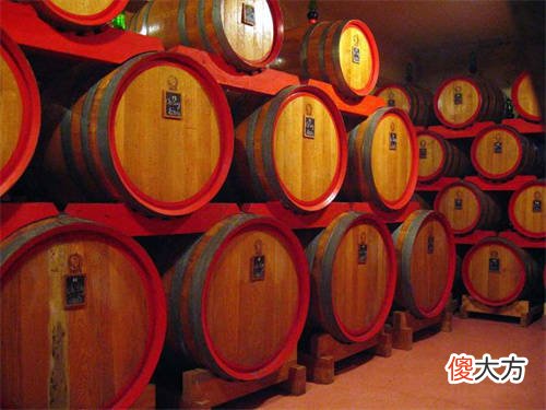 2019 年葡萄酒与健康分析，我命不久矣