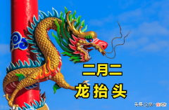 寓意一年好兆头 一年都是好兆头