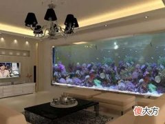 客厅摆放鱼缸好不好,摆放鱼缸的好处是什么