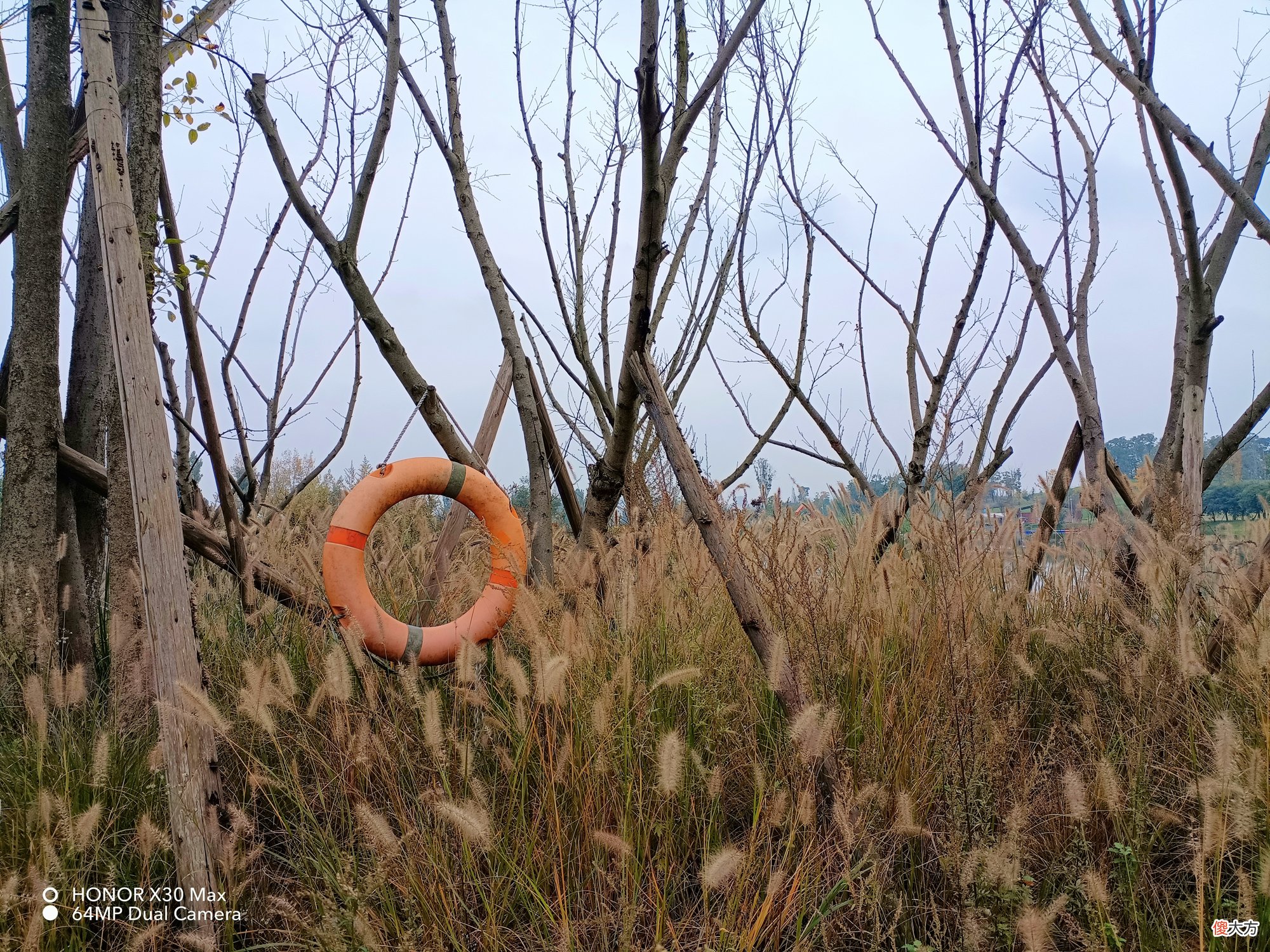 玩游戏看视频有点爽 玩游戏和看视频