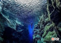 海底一万米存在什么 海底一万米究竟有什么