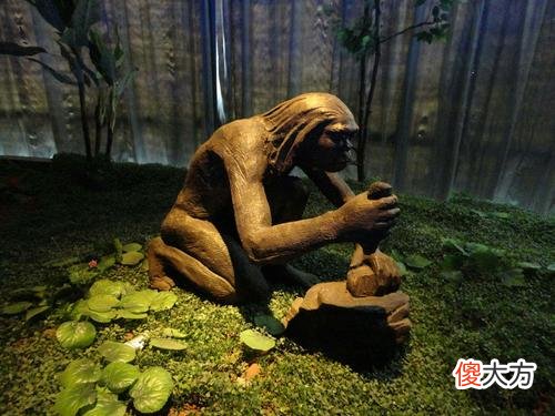 才学会了从1数到10 我会从1数到10