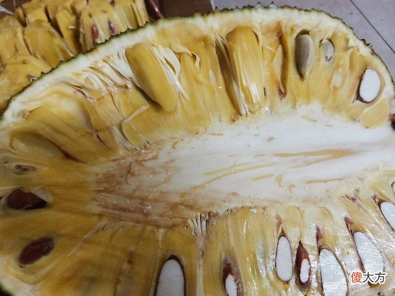 怎么清洗干净手上沾有的菠萝蜜树胶 菠萝蜜胶沾到手上怎样去除