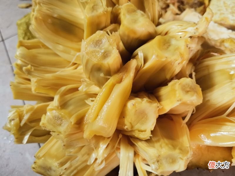 菠萝蜜的树胶粘到手上怎么洗干净 菠萝蜜胶弄到手上怎么洗干净