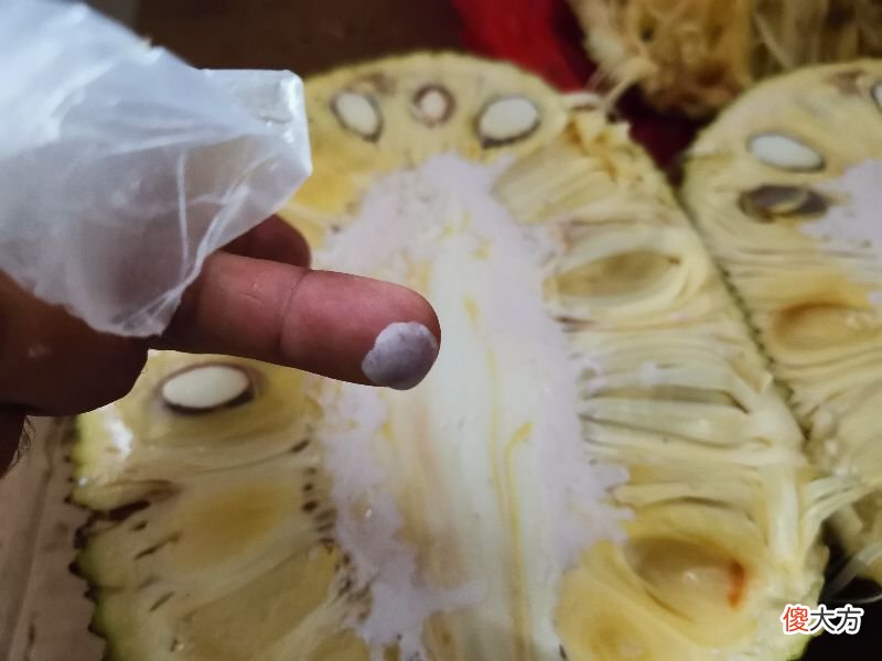 菠萝蜜的树胶粘到手上怎么洗干净 菠萝蜜胶弄到手上怎么洗干净