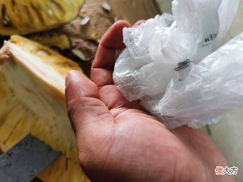 菠萝蜜的树胶粘到手上怎么洗干净 菠萝蜜胶弄到手上怎么洗干净