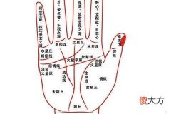 教你如何从手相看财运好坏