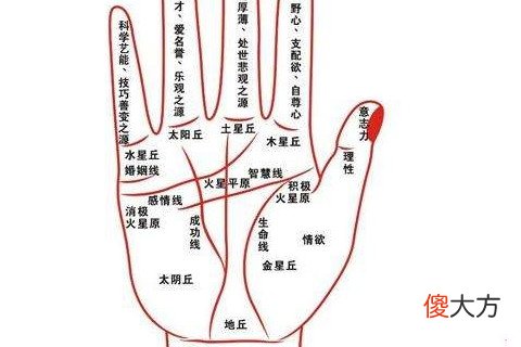 教你如何从手相看财运好坏
