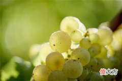 开个红酒店怎么样 红酒店全新经营模式