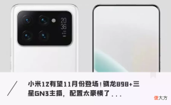 配2亿像素相机性能飙升 过亿像素相机