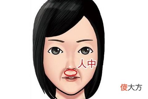 鼻子短的人面相好不好