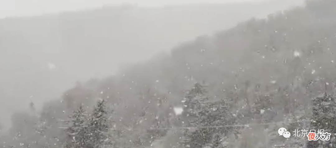 北京这些地方下雪了 北京哪些地方下雪了
