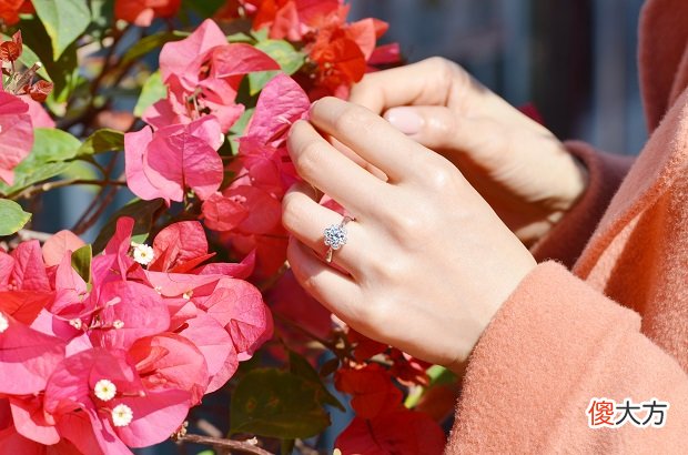 【就爱时尚】婚礼流程有哪些？钻石婚戒该准备在哪个环节？