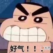 梗百科| 随机表情包系列 总有一款适合你