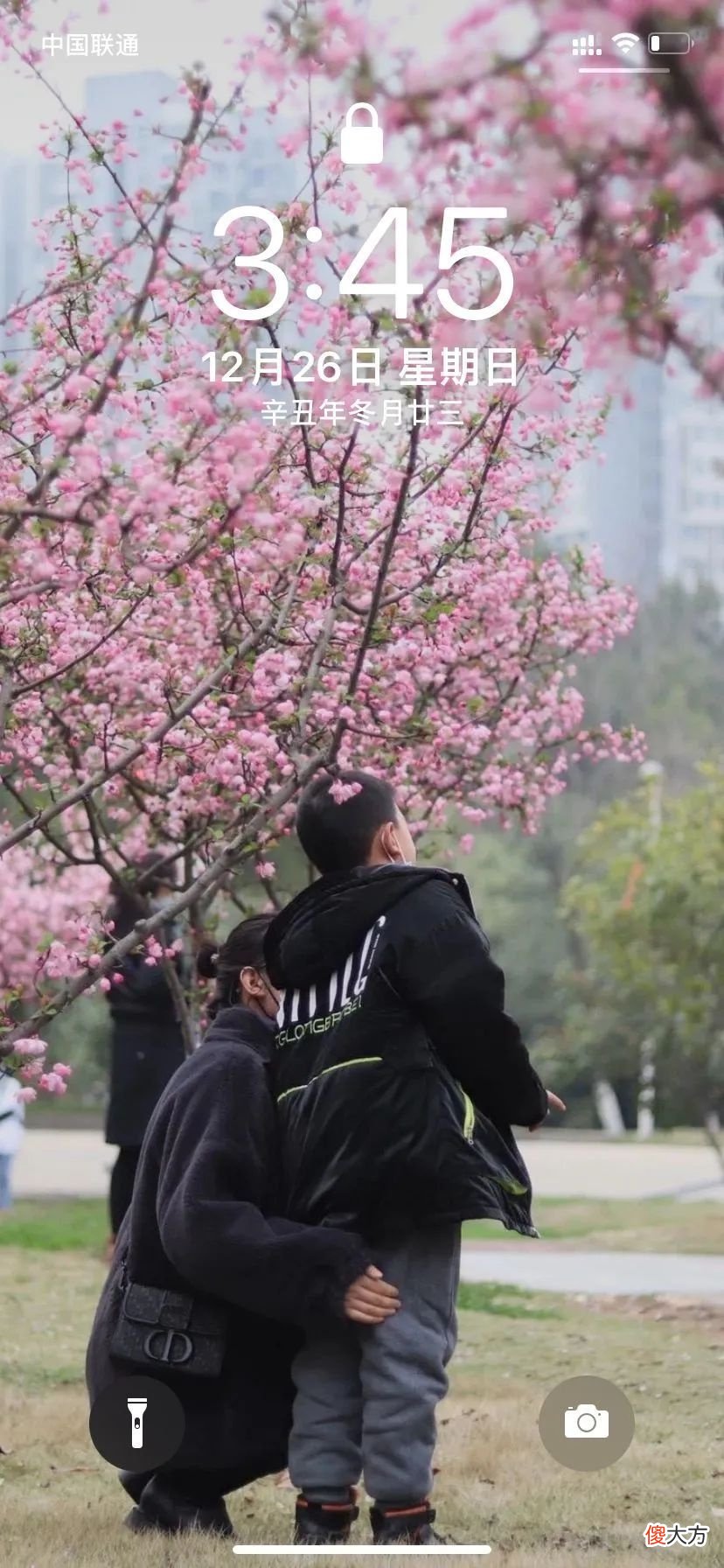 叮，请签收你的专属华夏壁纸