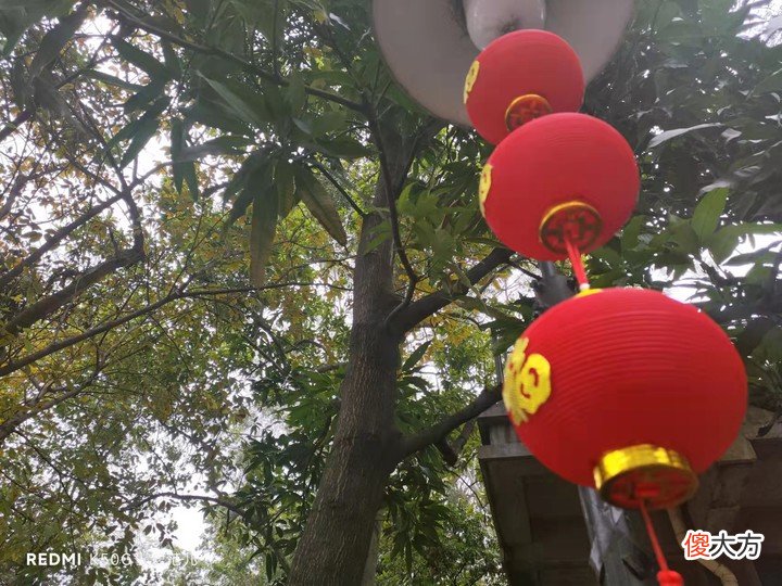Redmi K50 电竞版首发体验：3299 元起售，能否焊上游戏手机的大门？