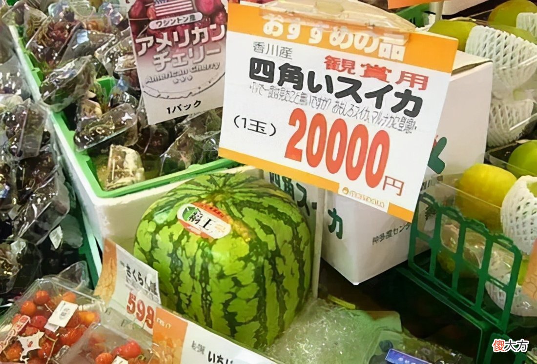 已装不下日本的野心 日本的国土,装不下日本的野心