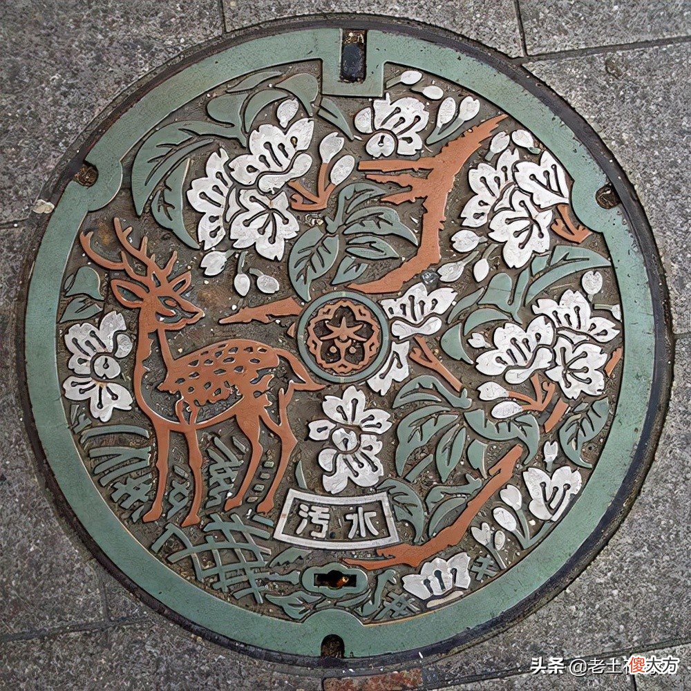 带你了解真实的日本现状 真实的日本生活现状