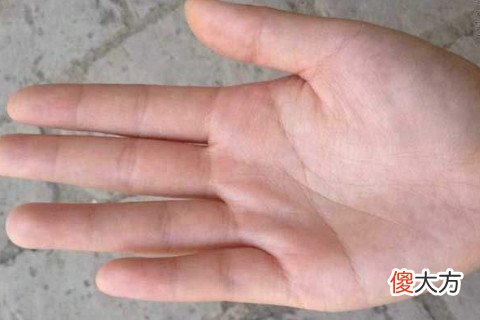 女人断掌的命运好不好