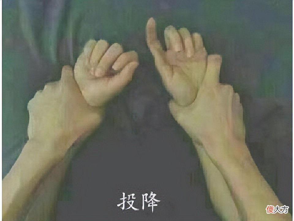 【游戏迷】奇葩的网游大战，因妹妹约会被砍，哥哥寻仇变全服大战