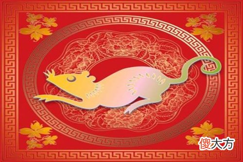 属鼠未来两年运势表现如何