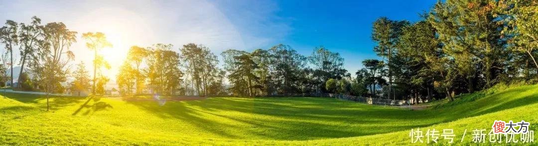【星座控】5月，喜鹊报喜，喜气盈门，好运势不可挡，万事亨通的三个生肖