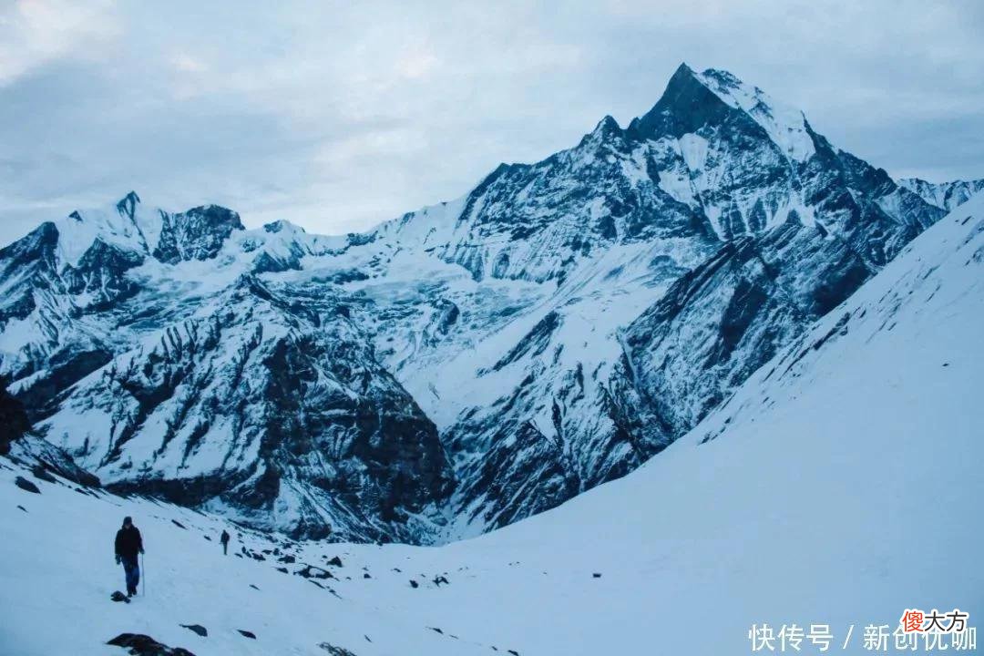 【星座控】5月，喜鹊报喜，喜气盈门，好运势不可挡，万事亨通的三个生肖