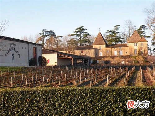 超市葡萄酒选购攻略 葡萄酒一般几月份卖得好
