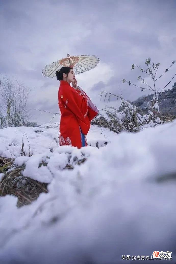 老公去世后,姨姨活成了原野上一棵红高梁,成了老公永远的媚娘