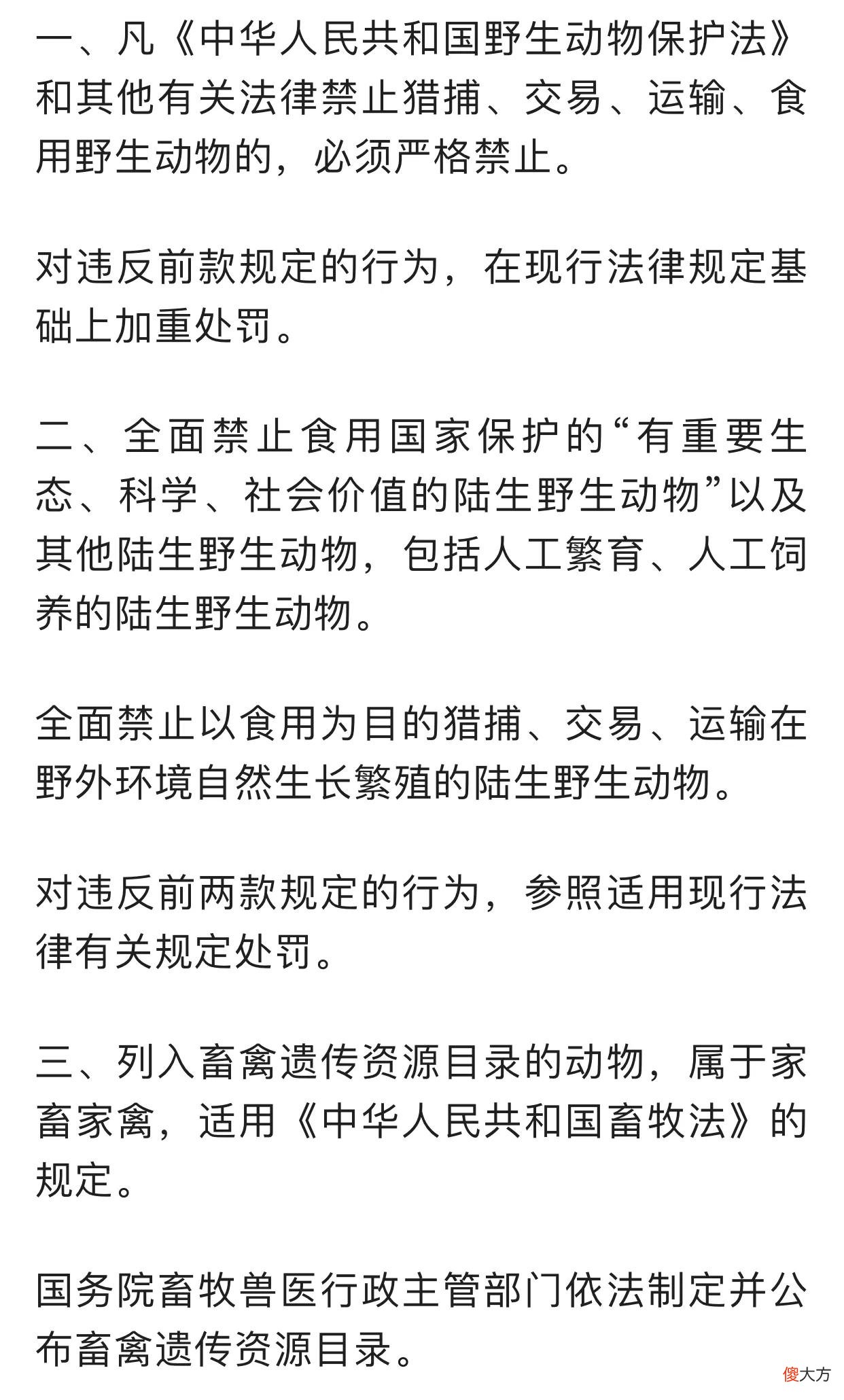 知了猴即将出土 知了猴啥时候出土