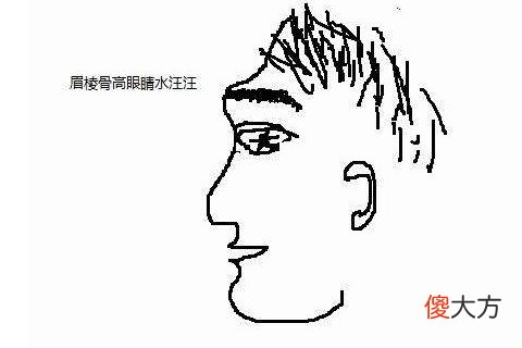 狐狸眼面相解析大全