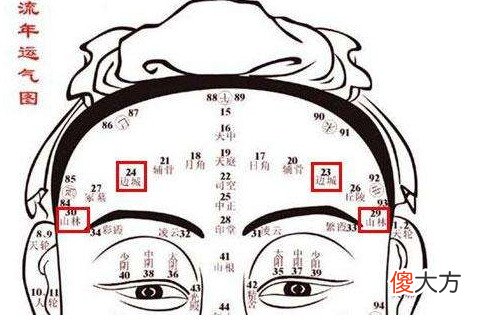 额头凸起面相分析如何