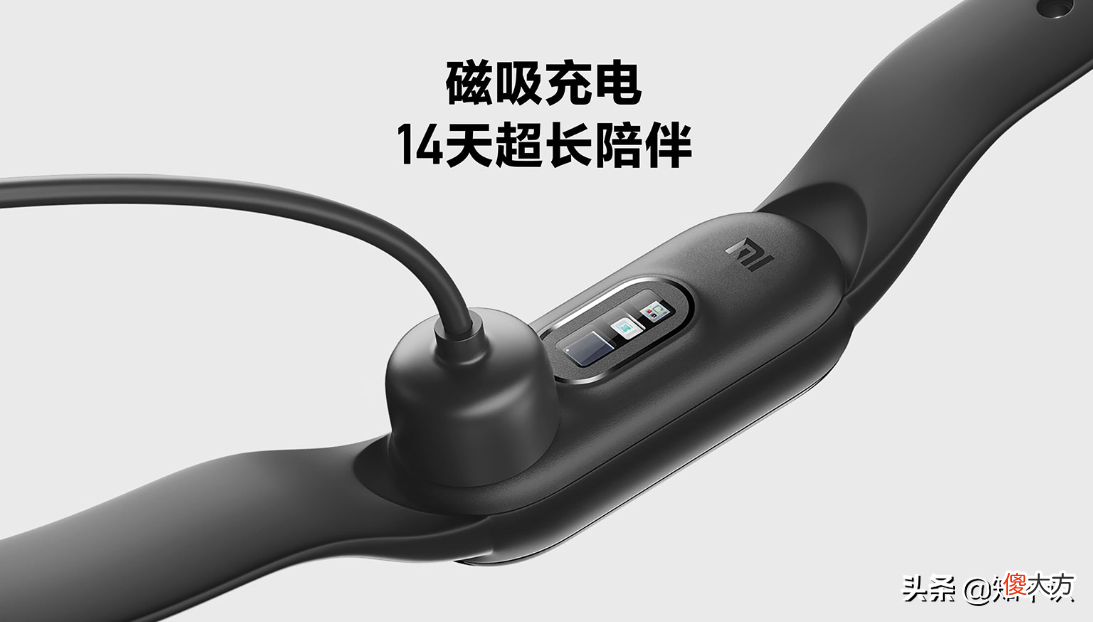 小米手环6和荣耀手环6对比 小米手环6与荣耀6对比