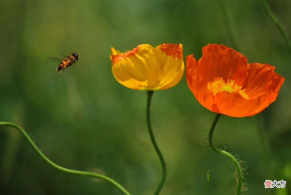 首篇的真正意义 意义的第一个