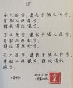抄写了100首 抄写一百遍