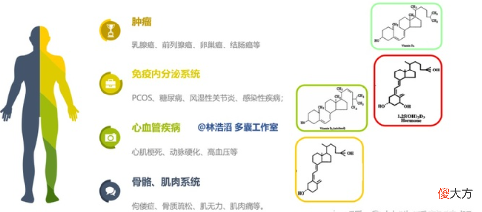 维生素D的功效竟然这么多 维生素D功效