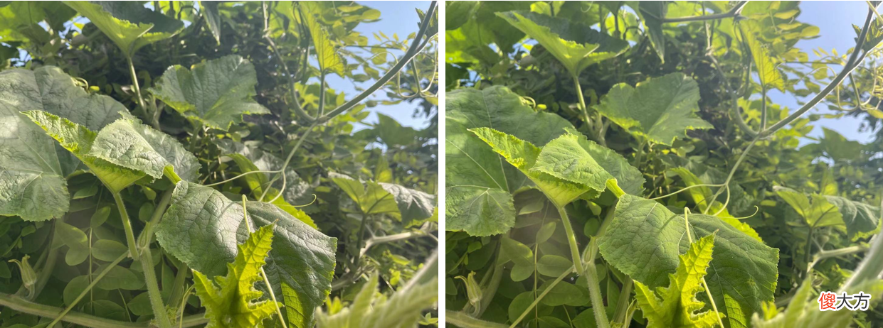 让你拍出神奇的照片效果 照片拍出了大片的效果