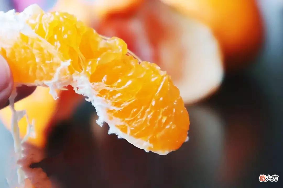 丑橘和耙耙柑要分清 如何区分丑橘和耙耙柑