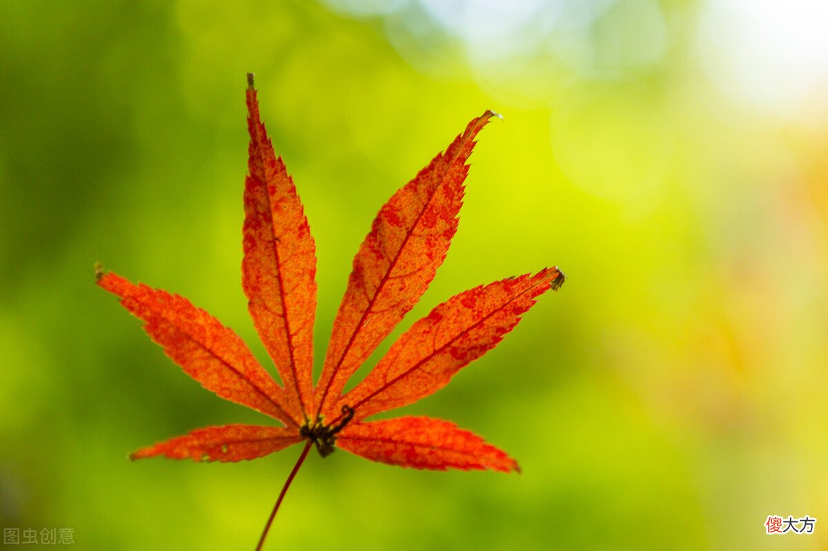 关于立秋节气的冷知识 立秋这个节气的知识