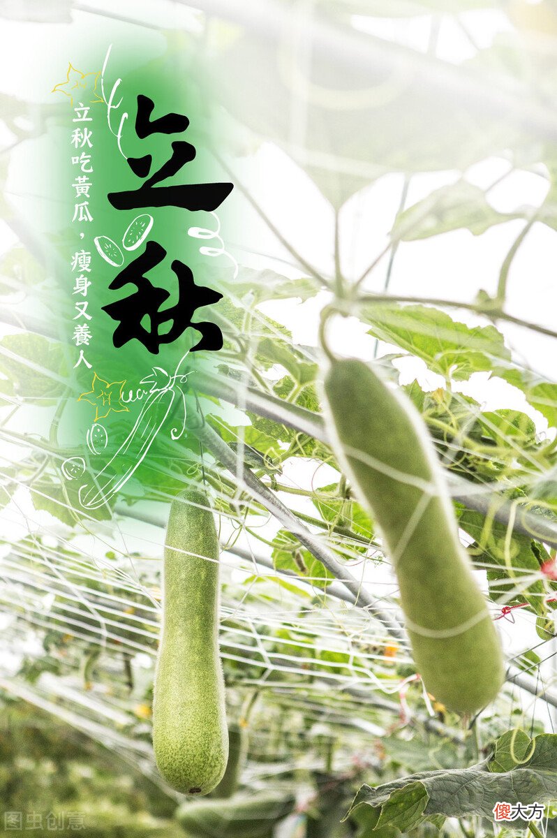 关于立秋节气的冷知识 立秋这个节气的知识