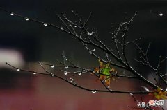 立秋下雨好不好 立秋这天下雨好不好