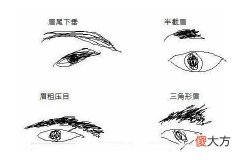 哪种眉毛的人有害人倾向