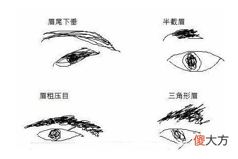 哪种眉毛的人有害人倾向