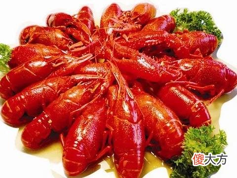 小龙虾饱受重金属极度超标与寄生虫 小龙虾是一种虫子而且重金属都超标
