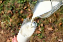A2奶舒化奶悦鲜奶...各种纯牛奶花样多，它们是智商税吗？